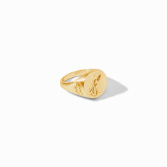 Zodiac Signet Ring - Aquarius