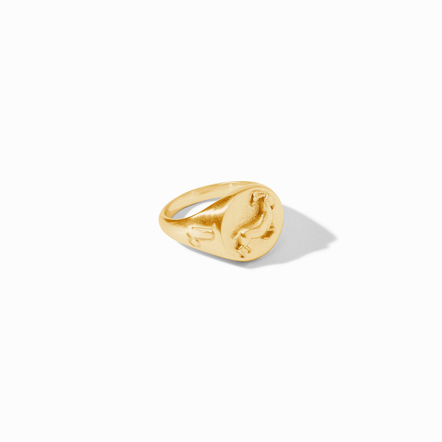 Zodiac Signet Ring - Capricorn